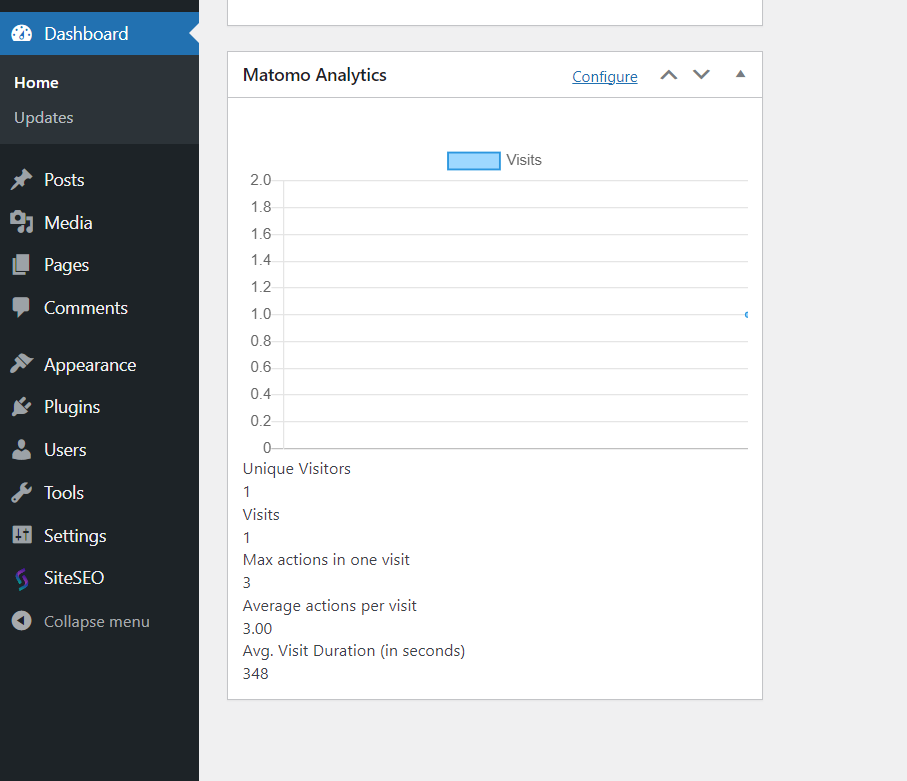 Matomo Analytics Widget