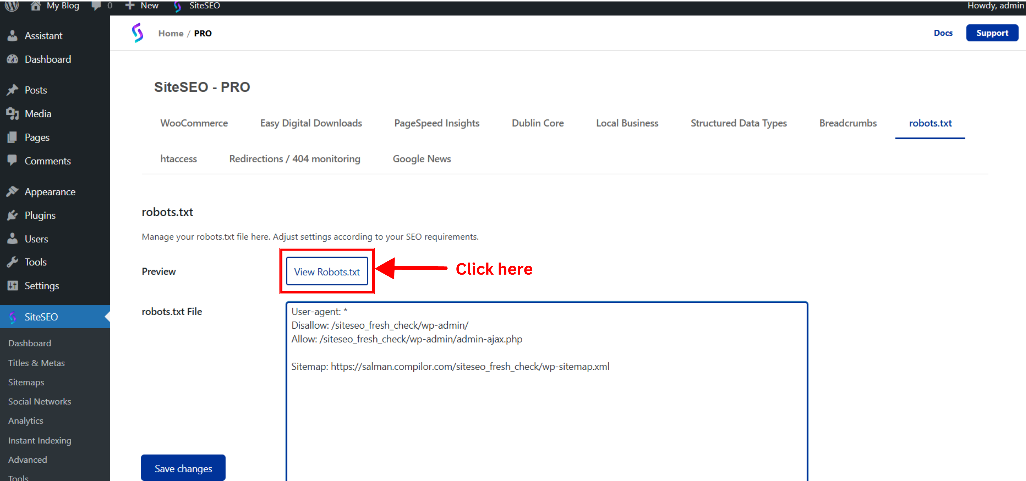 view robots.txt file